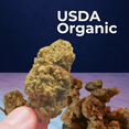 Full spectrum hemp flower